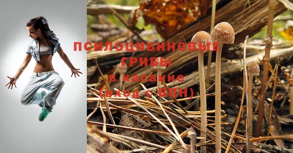 spice Алзамай