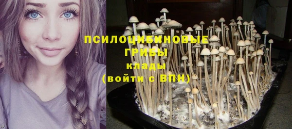 гашишное масло Алексеевка