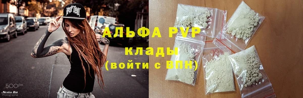 spice Алзамай